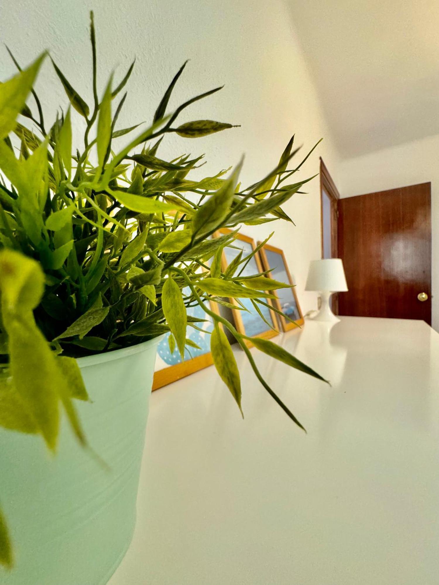 Acogedor Apartamento En Μάλαγα Εξωτερικό φωτογραφία